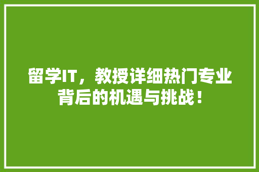 留学IT，教授详细热门专业背后的机遇与挑战！ 必应SEO