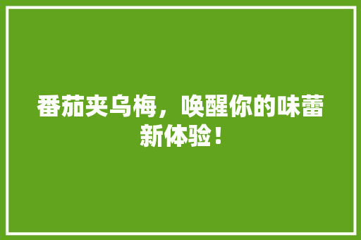 番茄夹乌梅，唤醒你的味蕾新体验！ 百度SEO