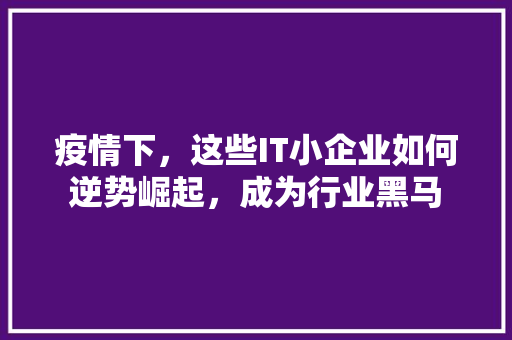 疫情下，这些IT小企业如何逆势崛起，成为行业黑马 GoogleSEO