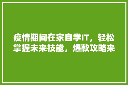 疫情期间在家自学IT，轻松掌握未来技能，爆款攻略来了！ 神马SEO