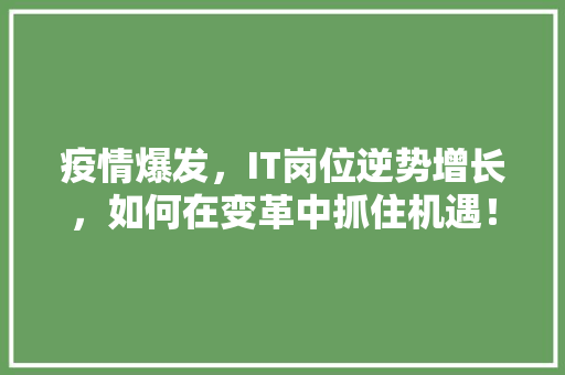 疫情爆发，IT岗位逆势增长，如何在变革中抓住机遇！ 神马SEO