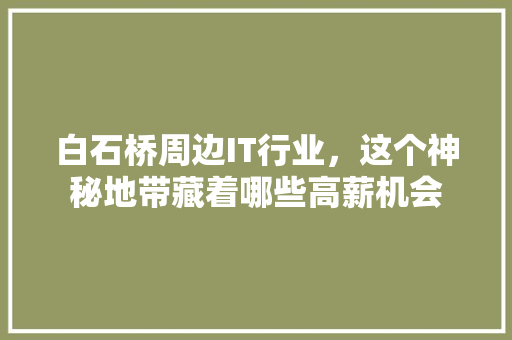 白石桥周边IT行业，这个神秘地带藏着哪些高薪机会 搜狗SEO