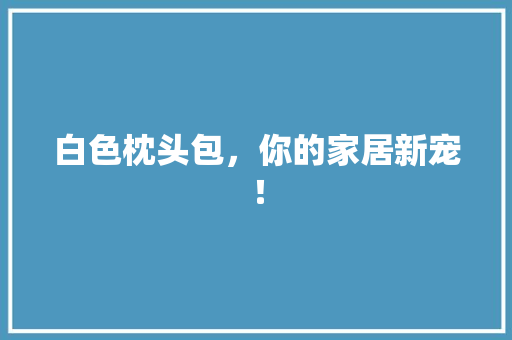 白色枕头包，你的家居新宠！ 搜狗SEO
