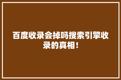 百度收录会掉吗搜索引擎收录的真相！ GoogleSEO