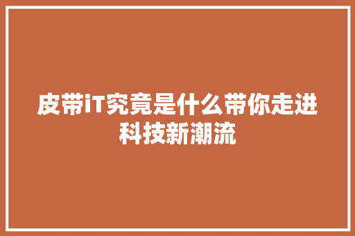 皮带iT究竟是什么带你走进科技新潮流 必应SEO