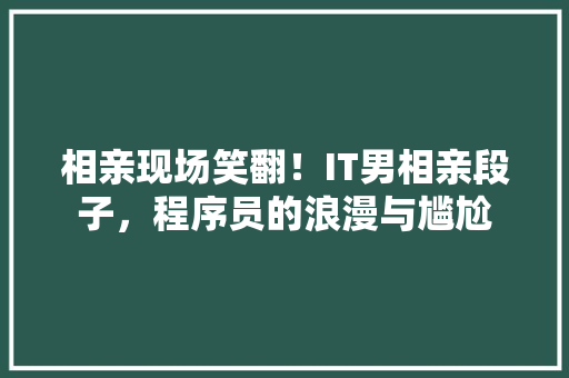 相亲现场笑翻！IT男相亲段子，程序员的浪漫与尴尬 百度SEO