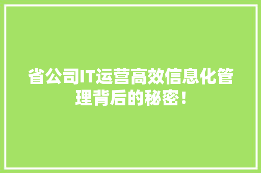 省公司IT运营高效信息化管理背后的秘密！ 神马SEO