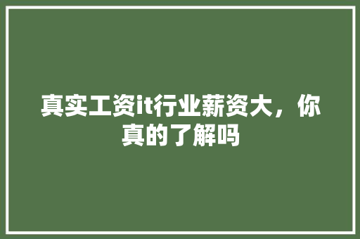 真实工资it行业薪资大，你真的了解吗 神马SEO