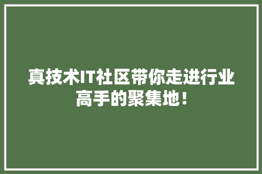 真技术IT社区带你走进行业高手的聚集地！ 百度SEO