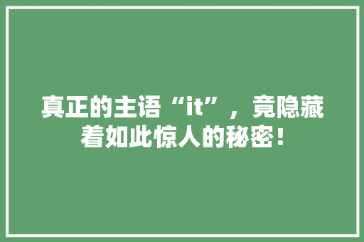 真正的主语“it”，竟隐藏着如此惊人的秘密！ 神马SEO