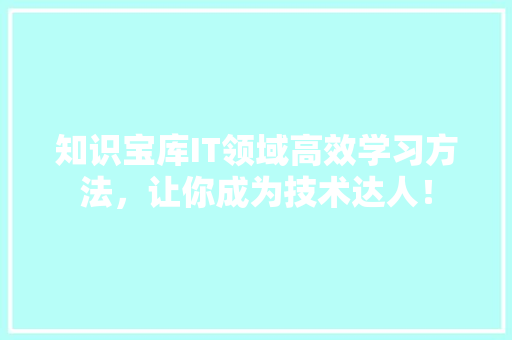 知识宝库IT领域高效学习方法，让你成为技术达人！ 必应SEO