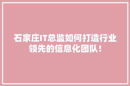 石家庄IT总监如何打造行业领先的信息化团队！ 神马SEO