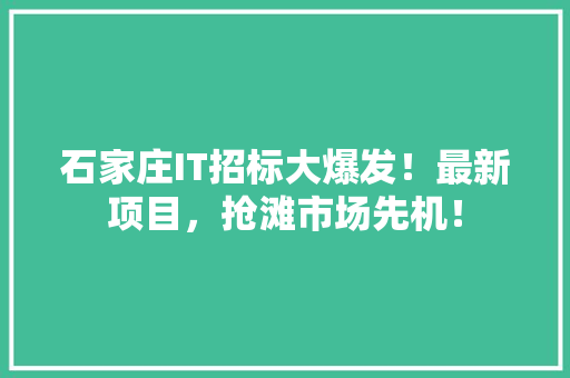 石家庄IT招标大爆发！最新项目，抢滩市场先机！ 百度SEO