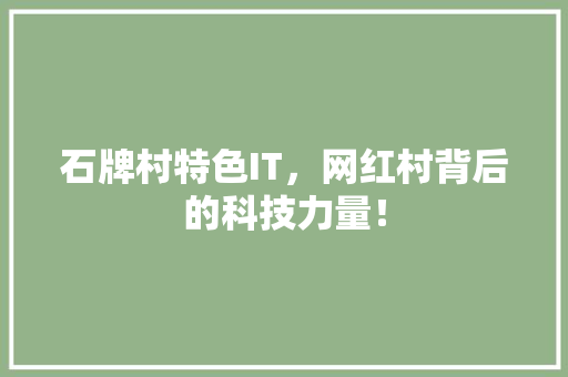石牌村特色IT，网红村背后的科技力量！ 神马SEO