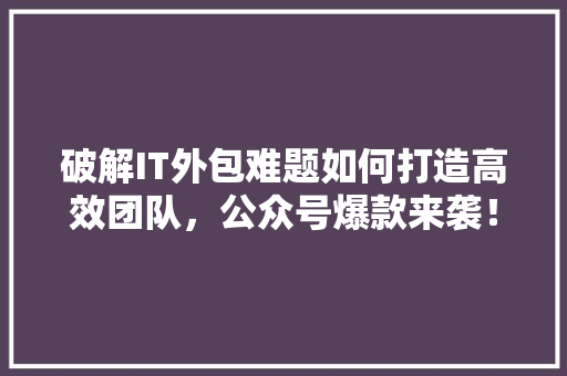 破解IT外包难题如何打造高效团队，公众号爆款来袭！ 神马SEO
