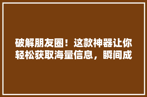 破解朋友圈！这款神器让你轻松获取海量信息，瞬间成为社交达人！ 必应SEO