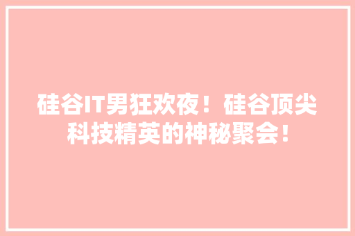 硅谷IT男狂欢夜！硅谷顶尖科技精英的神秘聚会！ GoogleSEO