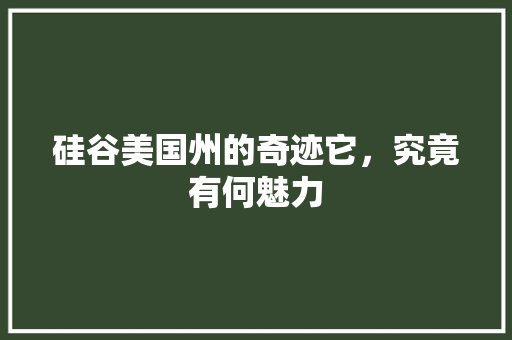 硅谷美国州的奇迹它，究竟有何魅力 百度SEO