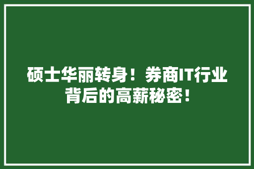 硕士华丽转身！券商IT行业背后的高薪秘密！ 必应SEO