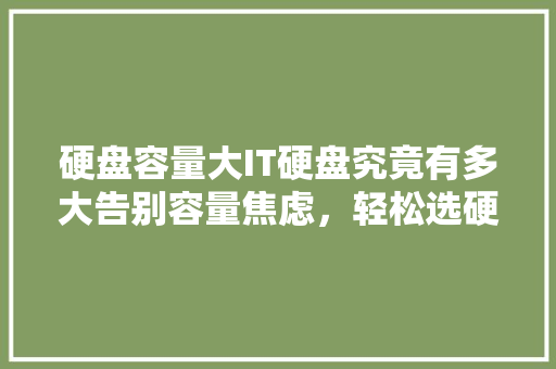 硬盘容量大IT硬盘究竟有多大告别容量焦虑，轻松选硬盘！ 必应SEO