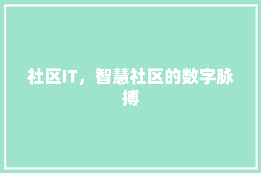 社区IT，智慧社区的数字脉搏 必应SEO