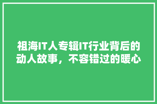 祖海IT人专辑IT行业背后的动人故事，不容错过的暖心佳作！ 百度SEO