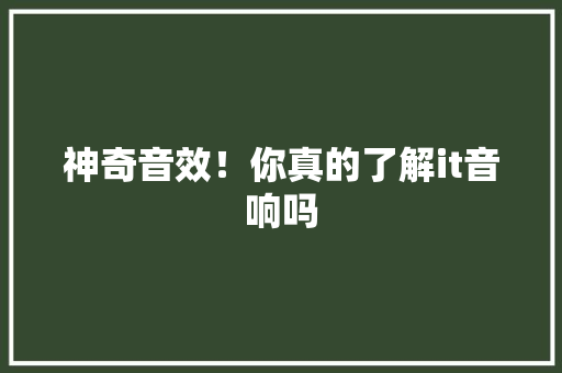神奇音效！你真的了解it音响吗 必应SEO