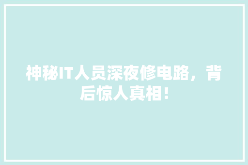 神秘IT人员深夜修电路，背后惊人真相！ 神马SEO