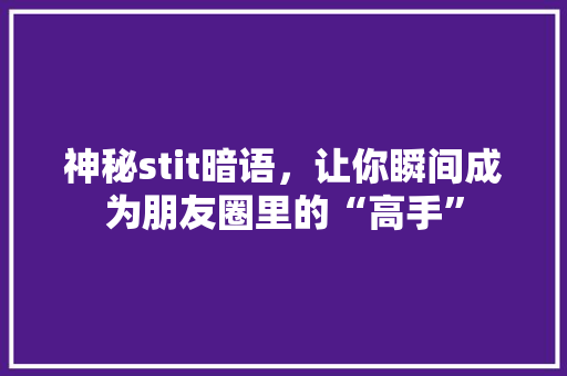 神秘stit暗语，让你瞬间成为朋友圈里的“高手” 神马SEO