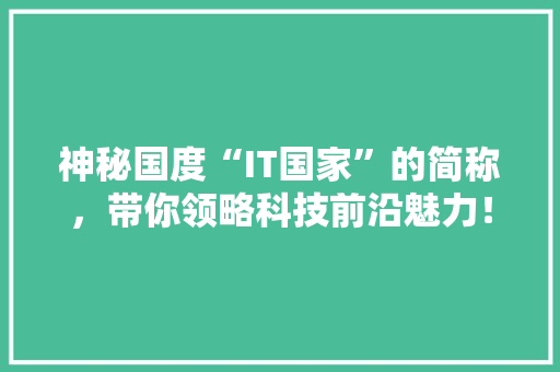 神秘国度“IT国家”的简称，带你领略科技前沿魅力！ GoogleSEO