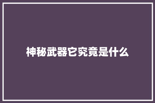 神秘武器它究竟是什么 GoogleSEO