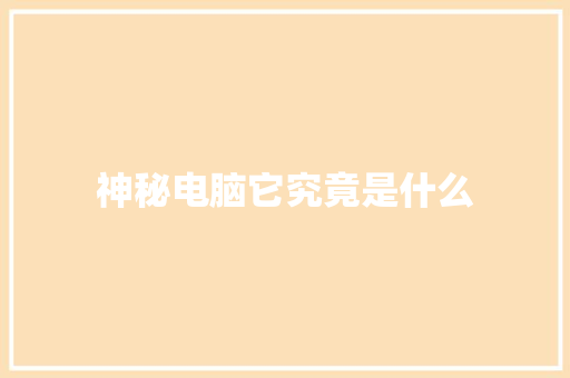 神秘电脑它究竟是什么 GoogleSEO