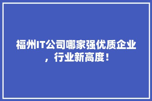 福州IT公司哪家强优质企业，行业新高度！ 必应SEO