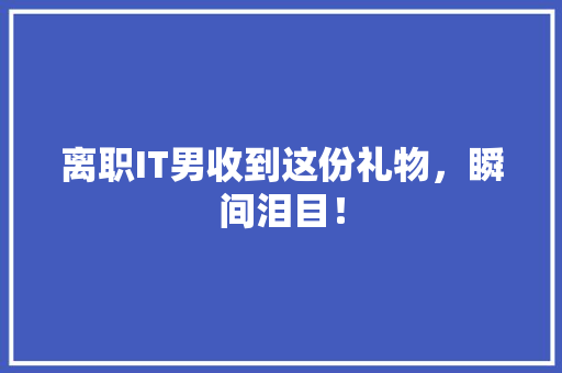 离职IT男收到这份礼物，瞬间泪目！ 必应SEO