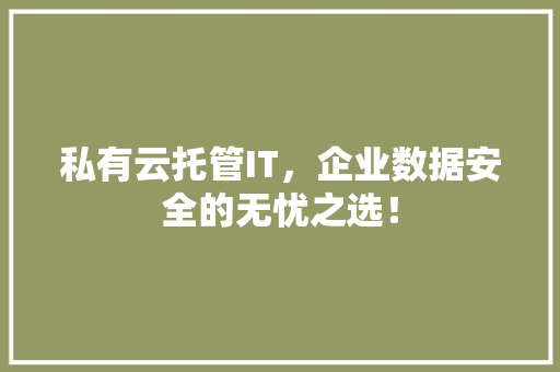 私有云托管IT，企业数据安全的无忧之选！ 百度SEO