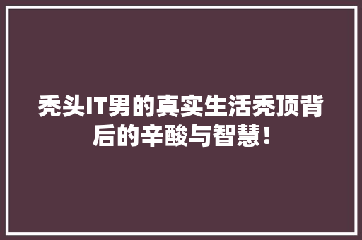 秃头IT男的真实生活秃顶背后的辛酸与智慧！ 神马SEO