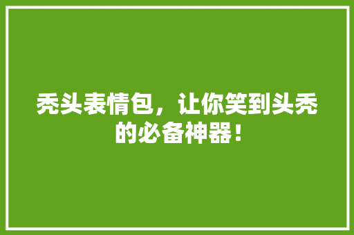 秃头表情包，让你笑到头秃的必备神器！ 百度SEO