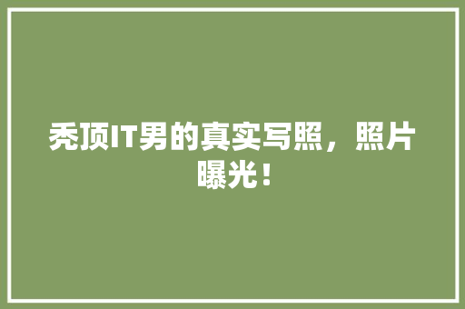 秃顶IT男的真实写照，照片曝光！ 百度SEO