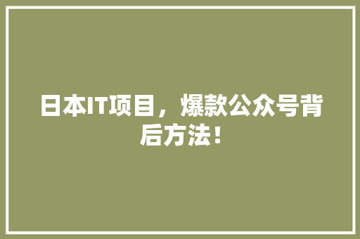 日本IT项目，爆款公众号背后方法！ 百度SEO