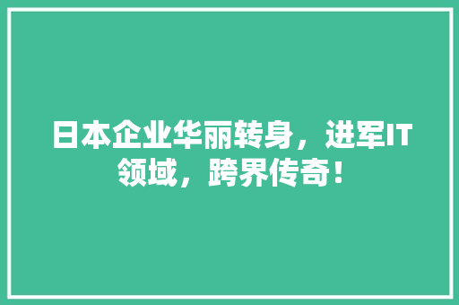 日本企业华丽转身，进军IT领域，跨界传奇！ 百度SEO