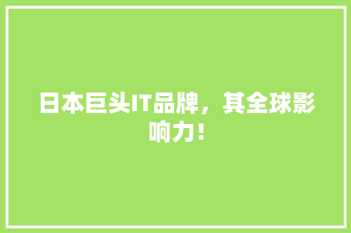 日本巨头IT品牌，其全球影响力！ GoogleSEO