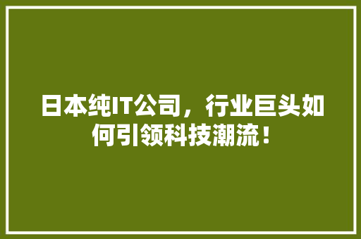 日本纯IT公司，行业巨头如何引领科技潮流！ 必应SEO