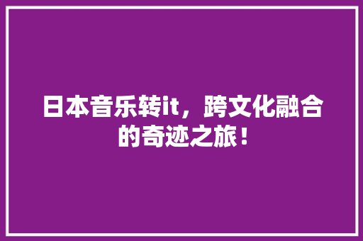日本音乐转it，跨文化融合的奇迹之旅！ 必应SEO
