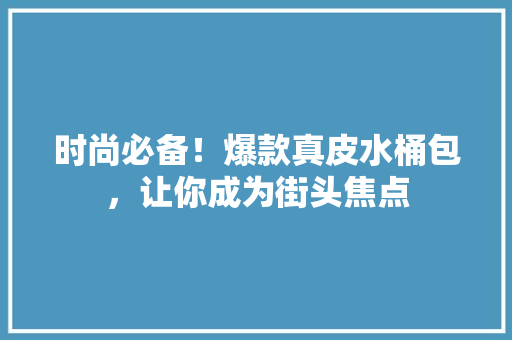 时尚必备！爆款真皮水桶包，让你成为街头焦点 百度SEO
