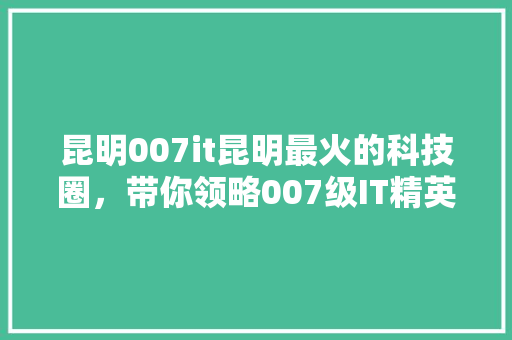 昆明007it昆明最火的科技圈，带你领略007级IT精英风采！