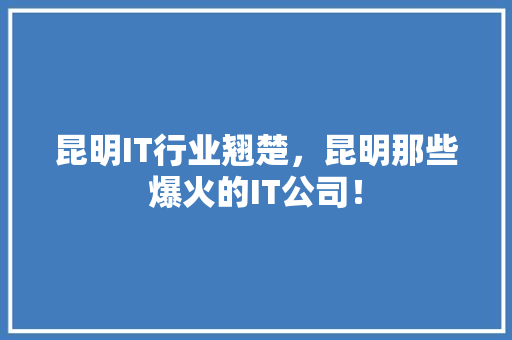 昆明IT行业翘楚，昆明那些爆火的IT公司！ 神马SEO
