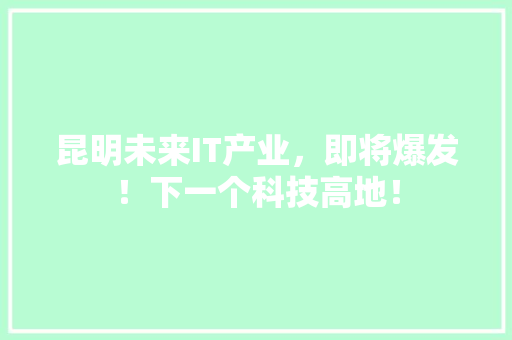 昆明未来IT产业，即将爆发！下一个科技高地！ 必应SEO