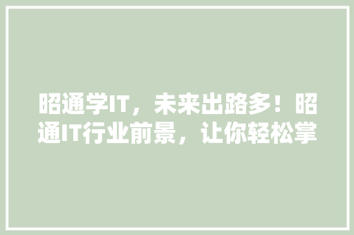 昭通学IT，未来出路多！昭通IT行业前景，让你轻松掌握高薪技能！ 百度SEO