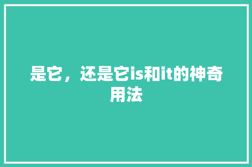 是它，还是它is和it的神奇用法 百度SEO