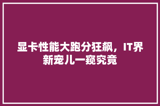 显卡性能大跑分狂飙，IT界新宠儿一窥究竟 神马SEO